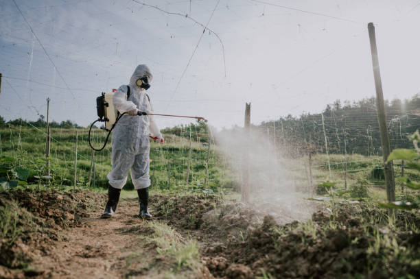 Best Ant Control Services  in Fairmount, TN