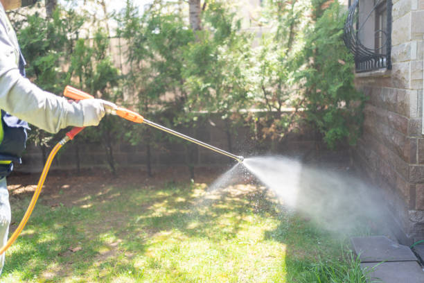 Best Affordable Pest Control Services  in Fairmount, TN