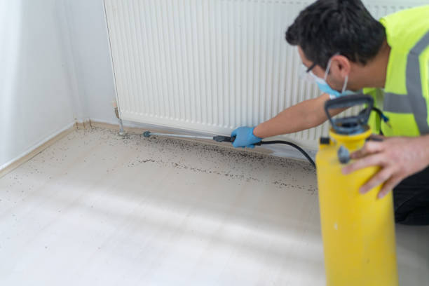 Best Flea Control Services  in Fairmount, TN